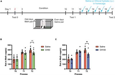 Chloral Hydrate Alters Brain Activation Induced by Methamphetamine-Associated Cue and Prevents Relapse